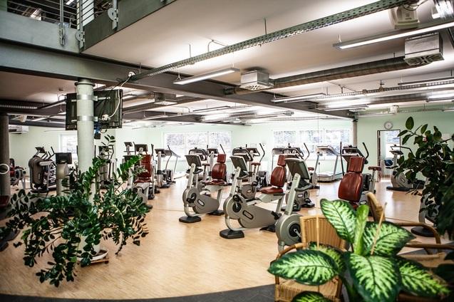 Modernes Fitnessstudio mit verschiedenen Geräten und Pflanzen, hell erleuchtet von großen Fenstern.