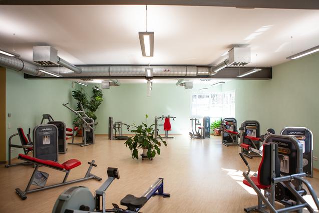 Fitnessraum mit mehreren Geräten, Pflanzen und großen Fenstern, die Tageslicht hereinlassen.