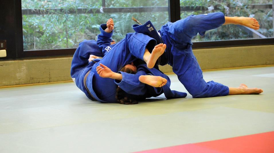 Zwei Judoka in blauer Judokleidung üben einen Bodenkampf auf einer tatami in einem lichtdurchfluteten Raum.